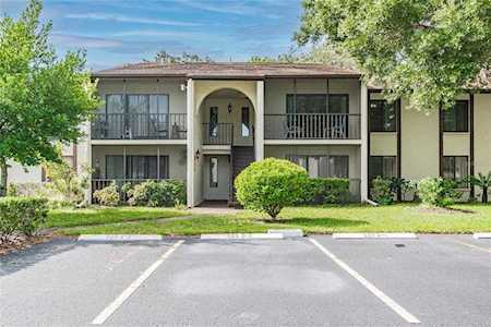 2664 Pine Ridge Way S #D2 Palm Harbor, FL 34684