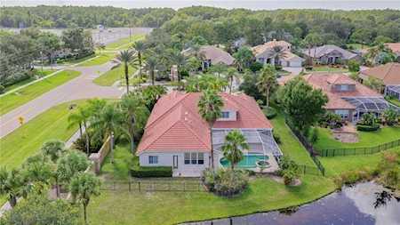 989 Cypress Cove WAY Tarpon Springs, FL 34688
