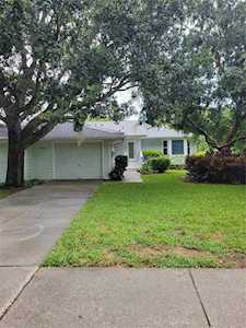 1204 S Pointe Alexis Dr Tarpon Springs, FL 34689