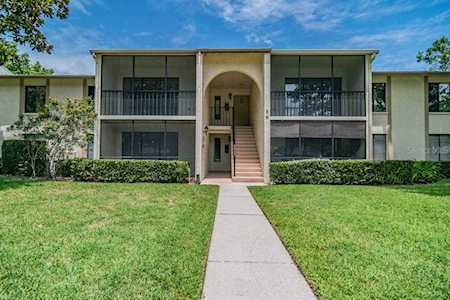 1354 Shady Pine WAY #E1 Tarpon Springs, FL 34688