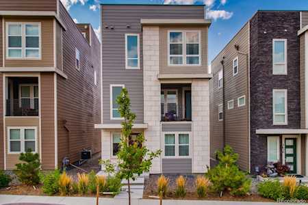 3650 Corsica Way Castle Rock, CO 80109