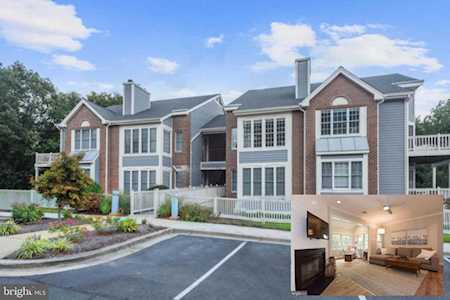 2706 Summerview Way #101 Annapolis, MD 21401