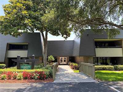 36750 Us Highway 19 N #14205 Palm Harbor, FL 34684