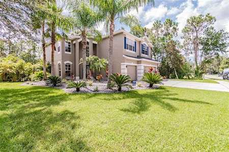 568 Lakewood Dr Oldsmar, FL 34677