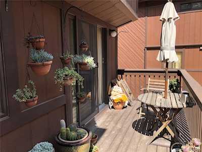 4906 Silver Spruce Ln Evergreen, CO 80439