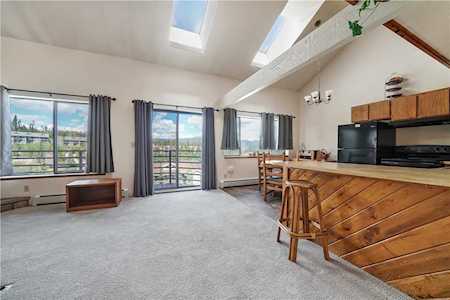 9876 Ryan Gulch Rd #305F Silverthorne, CO 80498