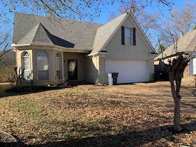 10011 Woodland Pine Cv Lakeland, TN 38002