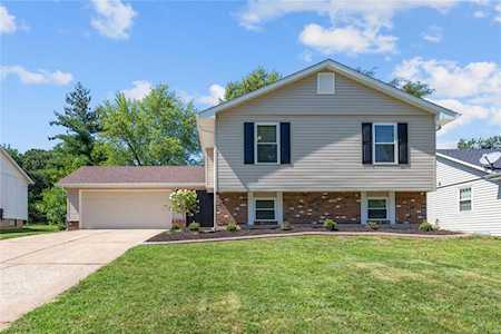 713 Greenridge St Peters, MO 63376