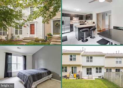 2664 Cedar Elm Dr Odenton, MD 21113
