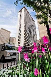 535 N Michigan Ave #2206 Chicago, IL 60611