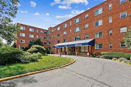116 Lee Ave #508 Takoma Park, MD 20912