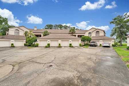 3000 Red Oak Ct #103 Palm Harbor, FL 34684