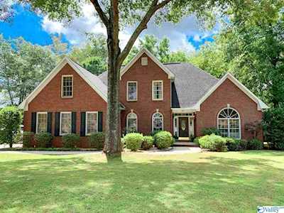 201 Andrea Kaye Court Hazel Green, AL 35750