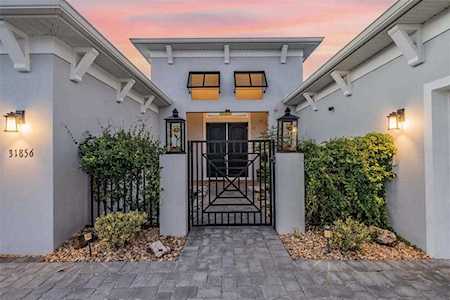 31856 Tortuga Shore LOOP Wesley Chapel, FL 33545