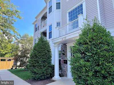 1503 Broadneck Place #3-202 Annapolis, MD 21409