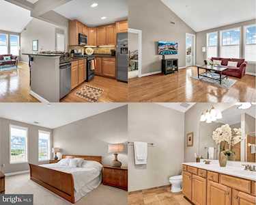400 Cameron Station Blvd #436 Alexandria, VA 22304