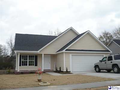 3332 Spiral Lane Effingam, SC 29541