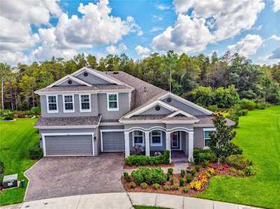 4080 Natural Vista Ct New Port Richey, FL 34655