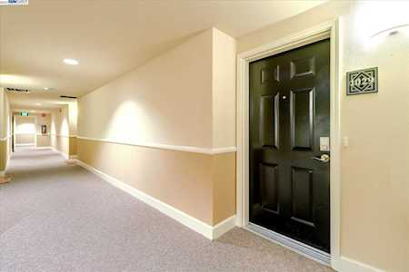 1550 Technology Drive #1029 San Jose, CA 95110