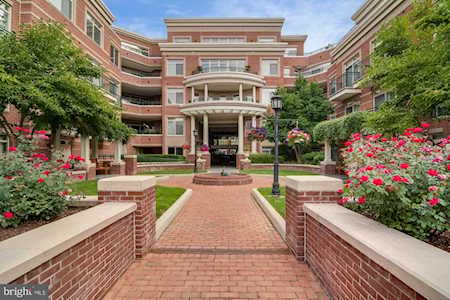 66 Franklin St #305 Annapolis, MD 21401