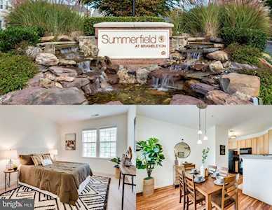 22710 Blue Elder Terrace #102 Brambleton, VA 20148