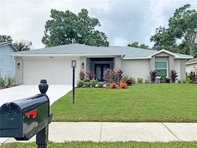 1168 Gillespie Dr N Palm Harbor, FL 34684