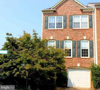 6330 Locust Tree Ln Alexandria, VA 22312