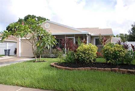2807 Northcote Dr Palm Harbor, FL 34684