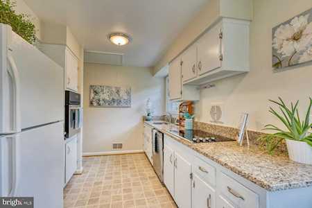 3405 Greentree Dr Falls Church, VA 22041