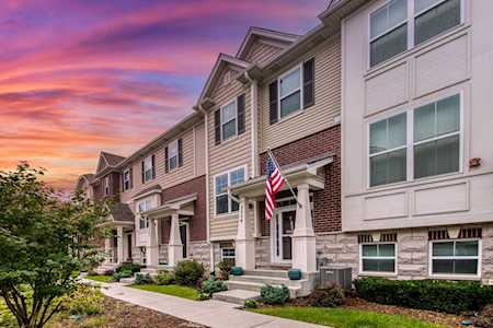 1114 Evergreen Ave Des Plaines, IL 60016