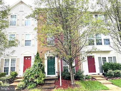 44263 Litchfield Terrace Ashburn, VA 20147