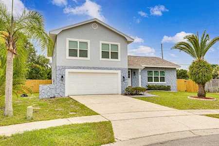 2354 Grove Ridge Dr Palm Harbor, FL 34683