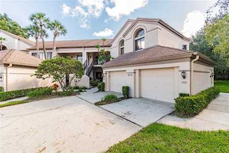 3014 Red Oak Ct #203 Palm Harbor, FL 34684