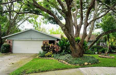 352 Oakhill Ct Palm Harbor, FL 34683