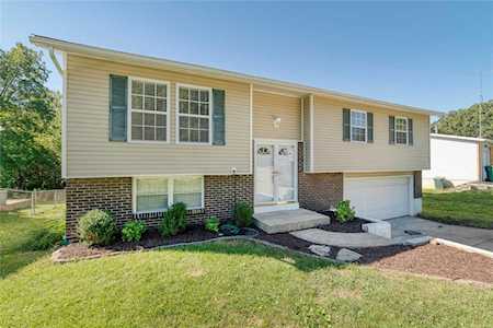 132 Lisa Ln Old Monroe, MO 63369