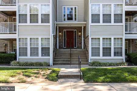 6310 Bayberry Ct #1003 Elkridge, MD 21075
