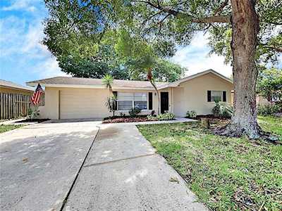 707 Lemonwood Dr Oldsmar, FL 34677