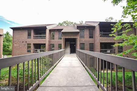 23244 Chestnut Oak Ct #1F California, MD 20619
