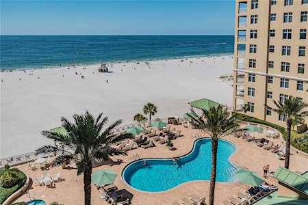 10 Papaya St #804 Clearwater, FL 33767
