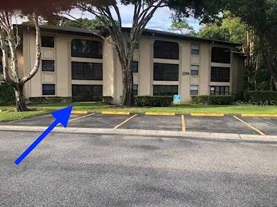 3399 Mermoor Dr #109 Palm Harbor, FL 34685