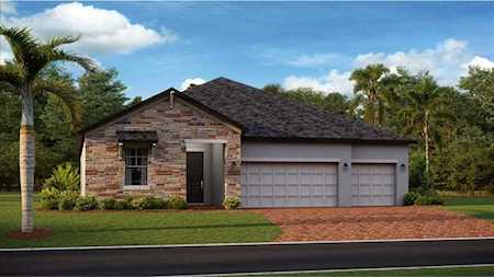 21506 Snowy Orchid TERRACE Land O Lakes, FL 34637