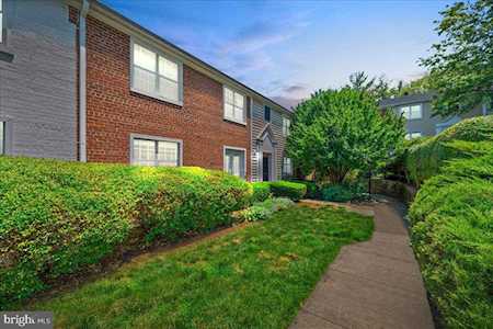 4608A 28th Rd Arlington, VA 22206