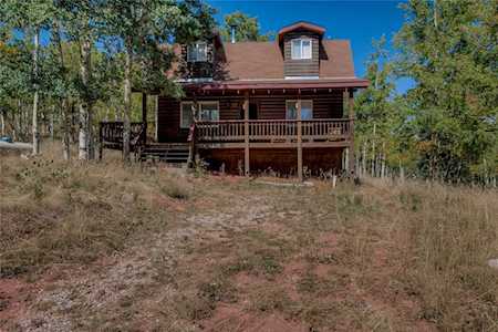187 Palmer Peak Dr Fairplay, CO 80440