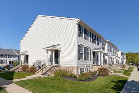 325 Shadbush Drive Blacklick, OH 43004