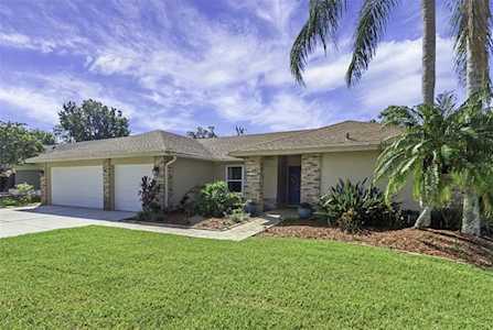 3118 Glenridge Dr Palm Harbor, FL 34685