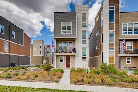 3562 Cerf Way Castle Rock, CO 80109