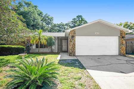 1833 Willow Oak Dr Palm Harbor, FL 34683