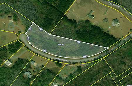 Lot 14 Belladonna Ct. Georgetown, SC 29440