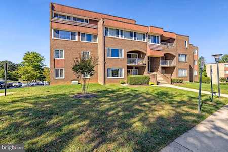 454 Girard St #372 Gaithersburg, MD 20877
