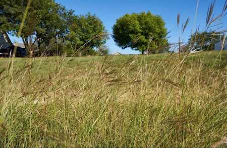 6018 Bear Creek Drive E Fort Worth, TX 76126